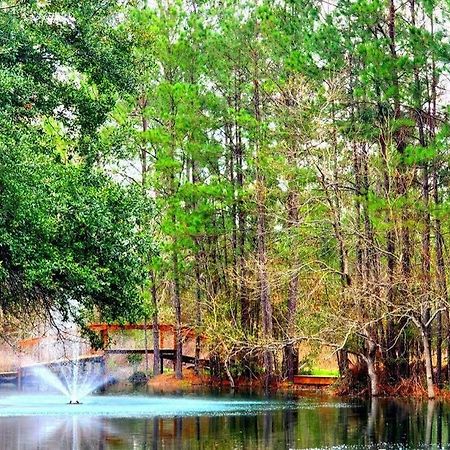 Waterfront Houston Hide Out In A Magical Forest Waller Eksteriør bilde