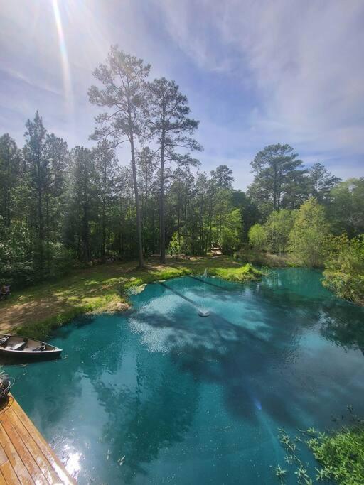 Waterfront Houston Hide Out In A Magical Forest Waller Eksteriør bilde